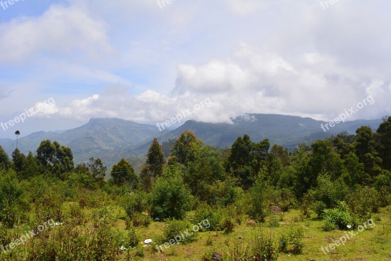 Kodaikanal Nature Tamilnadu India Free Photos