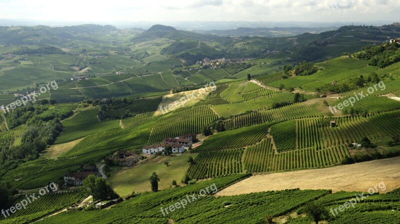 The Morra Langhe Italy Wine Grapes