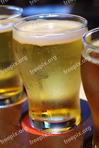 Beer Cold Refreshment Alcohol Beverages