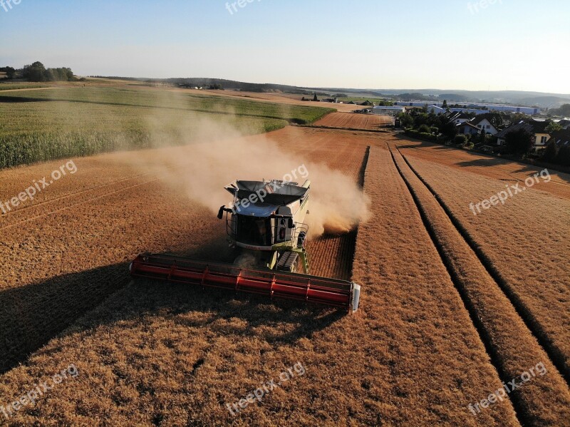 Harvest Farmers Combine Harvester Barley Agriculture