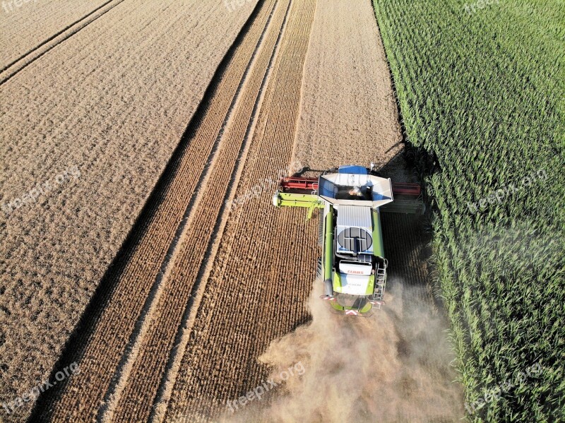 Harvest Farmers Combine Harvester Barley Agriculture