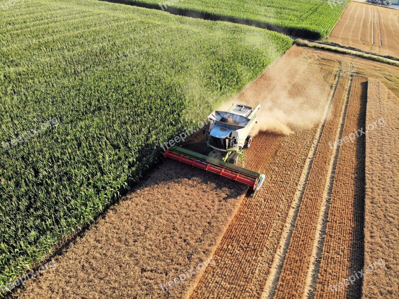 Harvest Farmers Combine Harvester Barley Agriculture