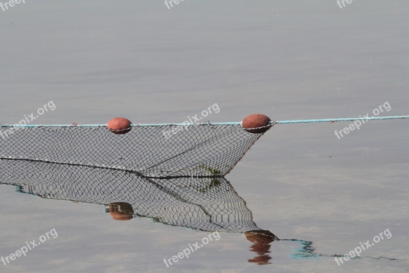 Net Fishing Sea Free Photos