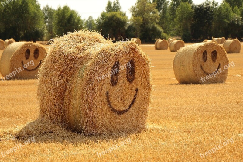 Straw Halmballe Agriculture Harvest Summer