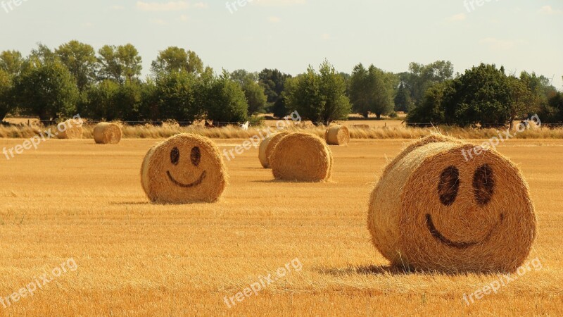 Straw Halmballe Agriculture Harvest Summer