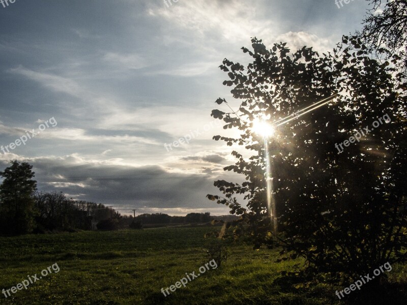 Sunlight Field Meadow Rural Landscape Nature