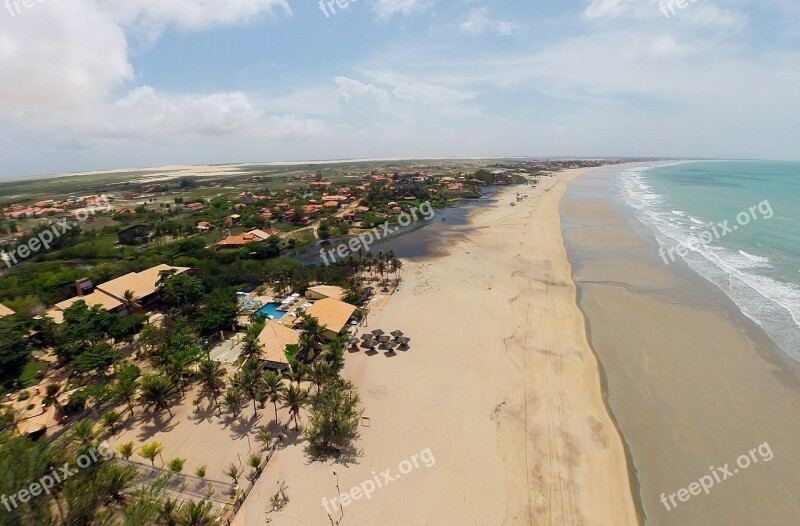 Beach Belt Louis Palm Tree Piauí Beach Sand