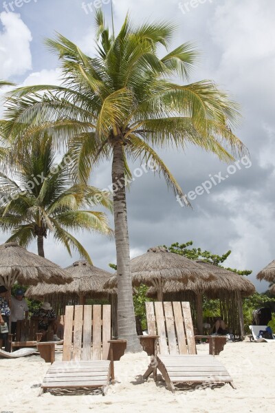 Beach Chairs Palm Tropical Ocean