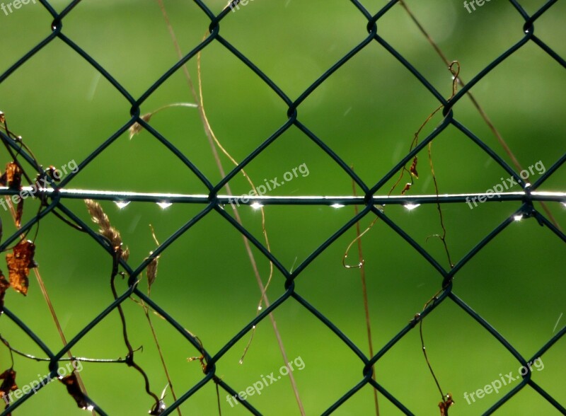 Raindrops Drops Water Drops Mesh Lighting