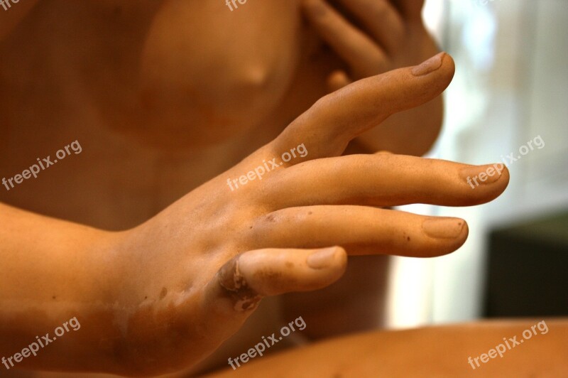 Hand Sculpture Louvre Free Photos