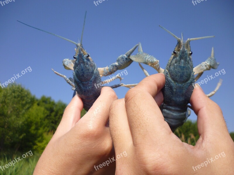 River Cancer Hands Nature Water