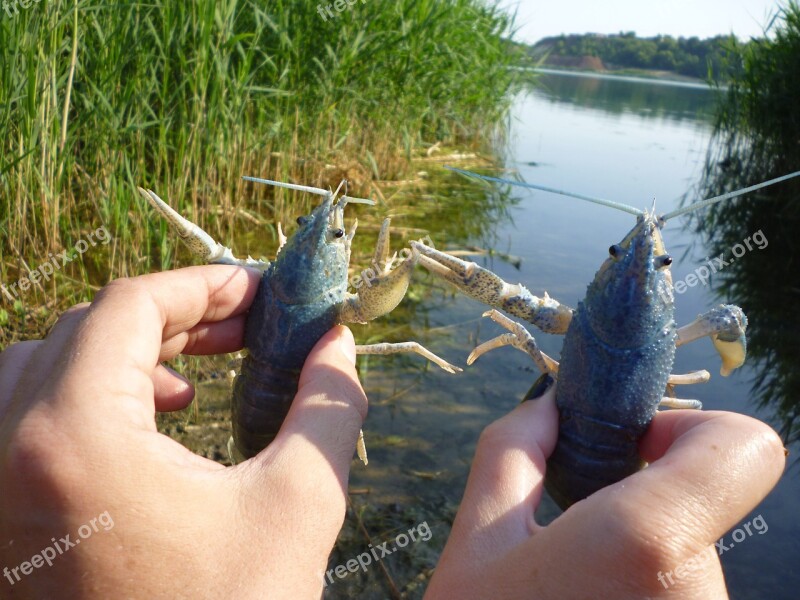 River Cancer Hands Nature Water