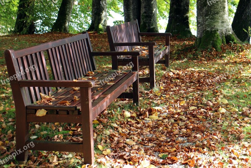 Autumn Bench Seat Nature Rest