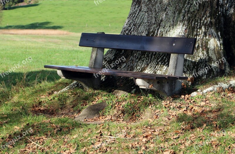 Bench Bank Nature Out Seat