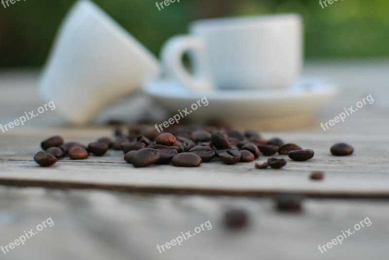 Coffee Cup Grain Free Photos