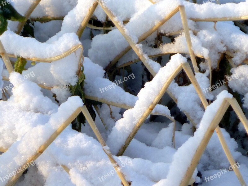 Straws Winter Snow Wintry Snowy