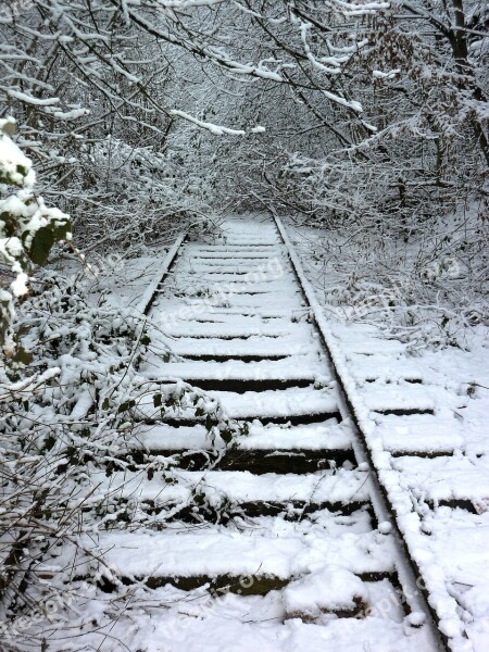 Track Winter Train Rails Overgrown