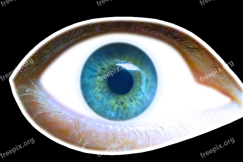 Eye Iris Eyelid View Look