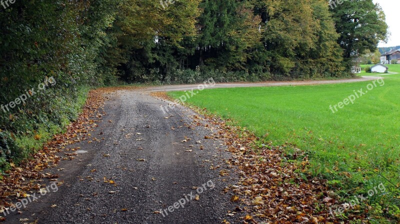 Road Away Nature Autumn Meadow