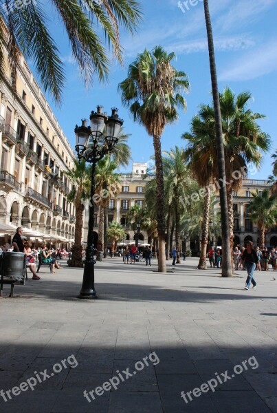 Barcelona Place View Palm Tree Spain