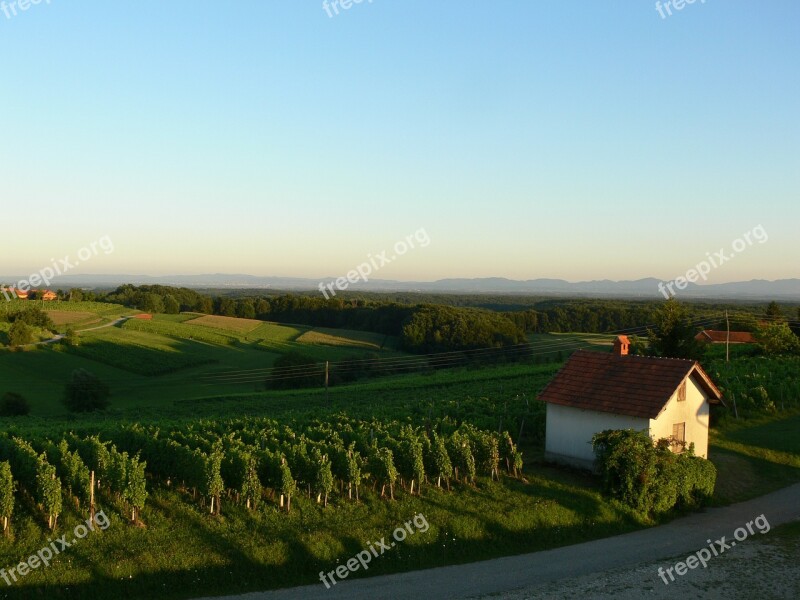 Landscape Nature Sunset Vineyard Slovenia