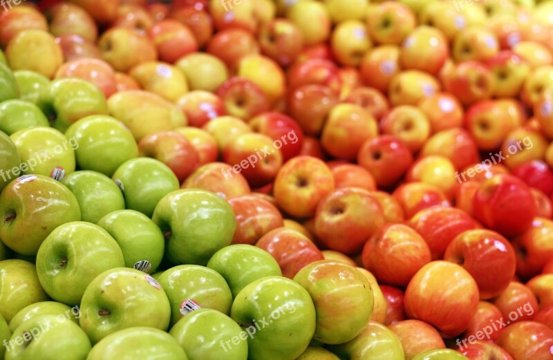 Apple Apples Green Red Selection