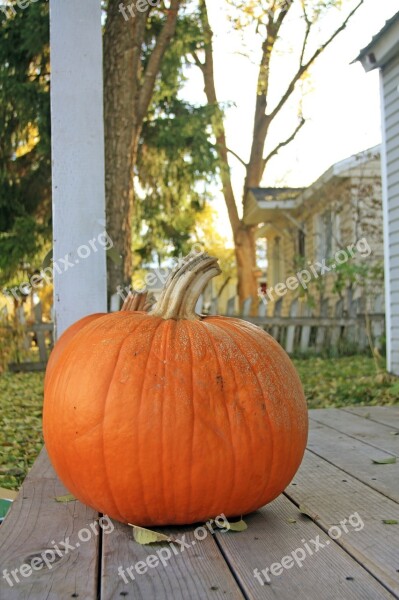 Pumpkin Halloween Autumnal Porch Fall