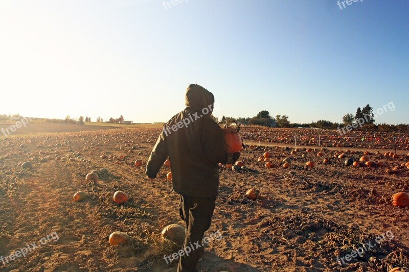 Man Pumpkin Patch Selecting Dusk