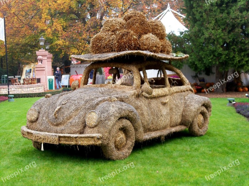 Auto Vw Beetle Autumn Halloween Pumpkin