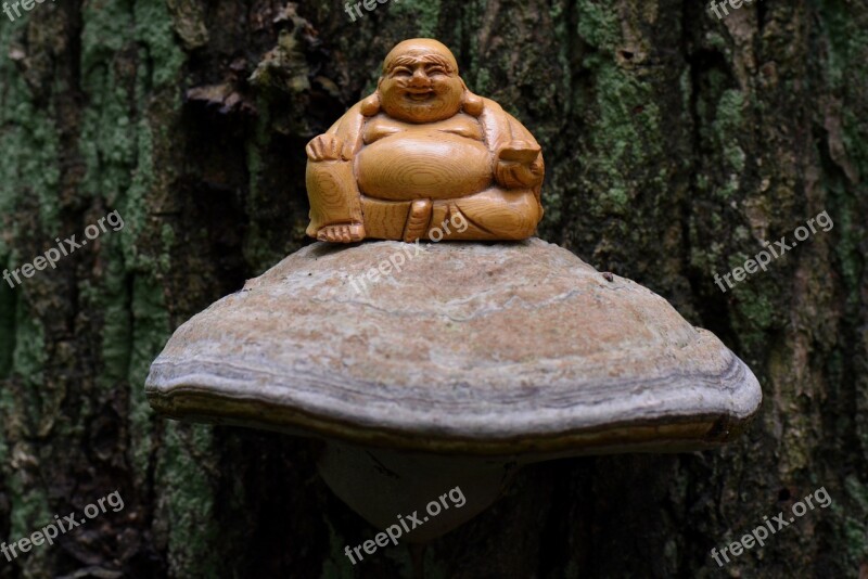 Buddha Meditation Spirituality Zen Image