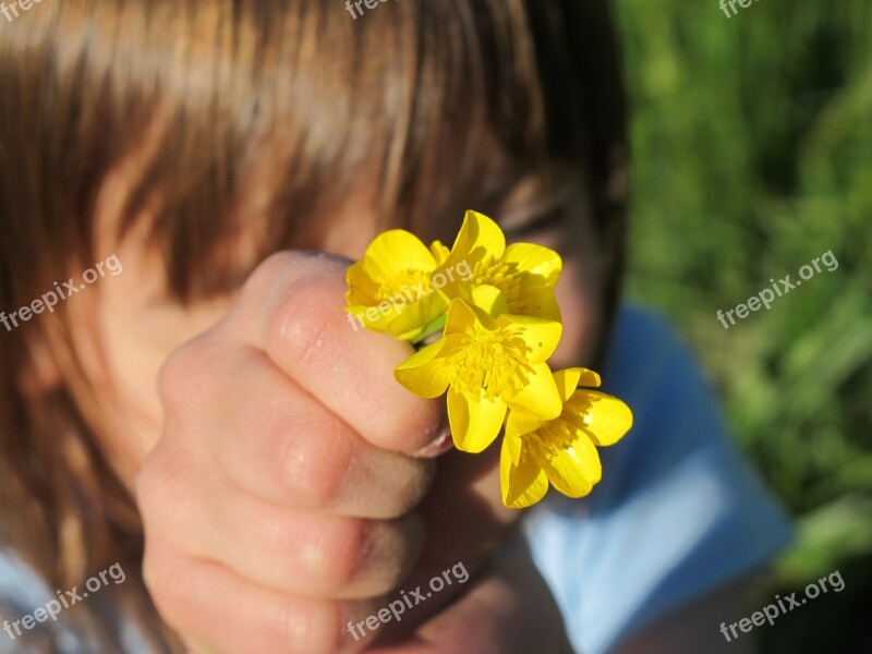 Girl Flowers Yellow Young Youth