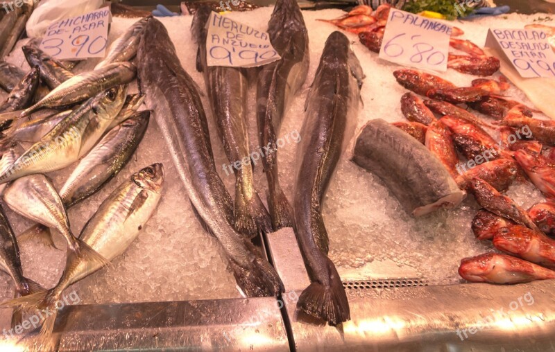 Fish Fish Shop Market Hake Red Mullet