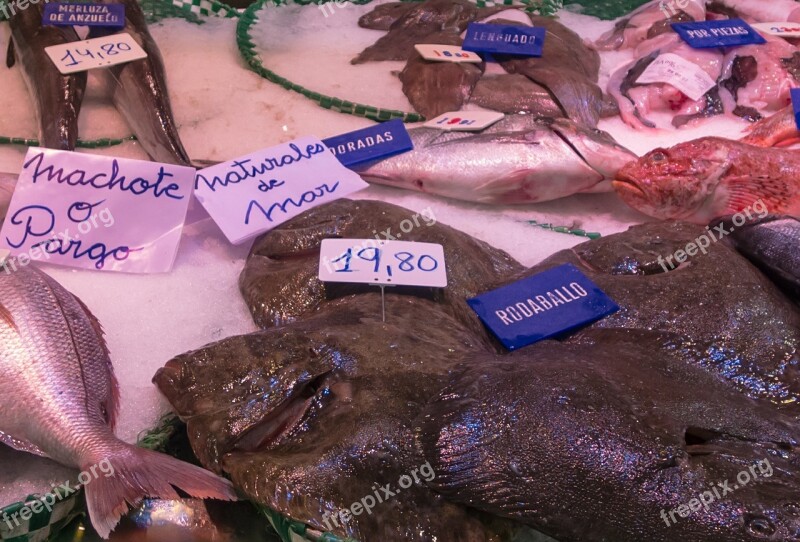 Fish Buy Fish Shop Market Prices