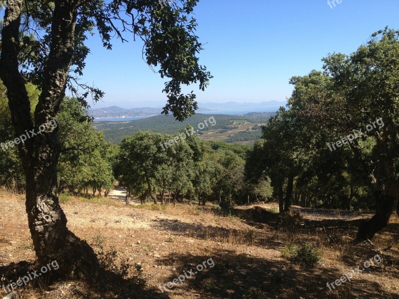 View Mountain Cork Oak Blue Nature