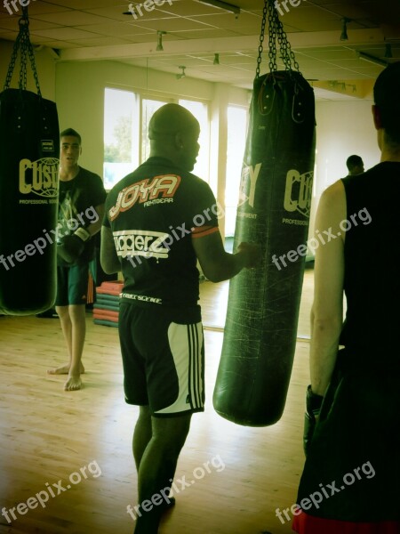 Boxing Endurance Training Discipline Free Photos