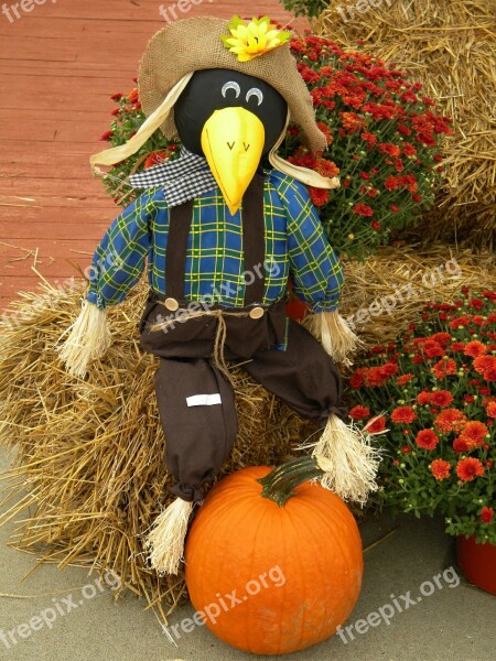 Scarecrow Fall Autumn Seasonal Harvest