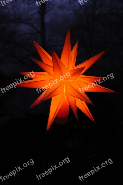 Poinsettia Dark Orange Shining Star