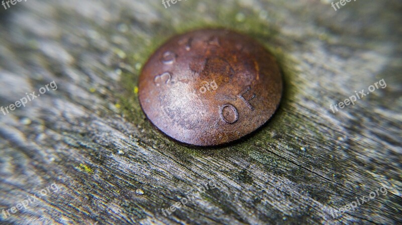 Bolt Rust Wood Rivet Metal