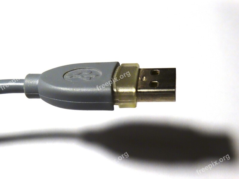 Usb Plug Connection Usb Data Cable Data Transfer