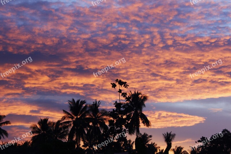 Palm Trees Silhouettes Nature Sunset Sky