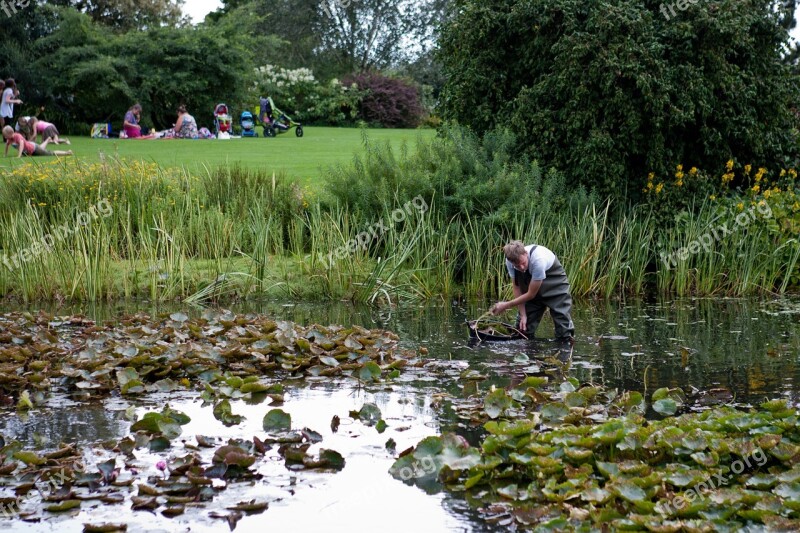 Pond Clearing Man Waders Lawn Hyde Hall