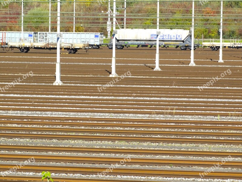 Transport Of Goods Cargo Goods Wagons Railway Carriages Railway Transport