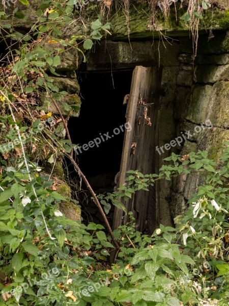 Ancient Doorway Overgrown Ruin Abandoned Rustic