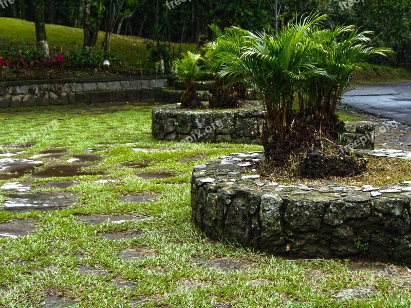 Park El Salvador Trees Plaza Nature