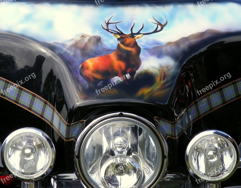 Motorbike Transport Lamps Lights Stag