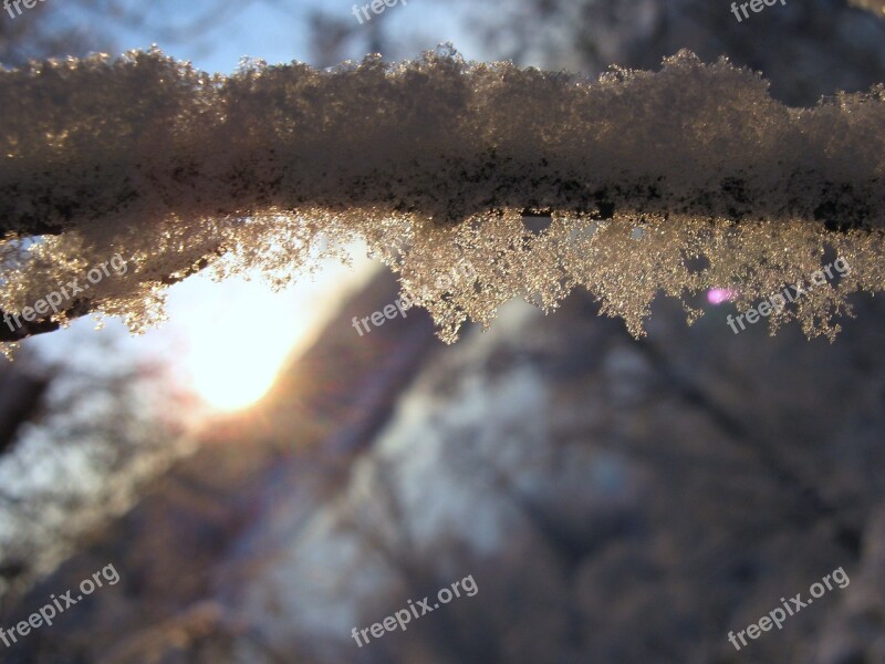 Snow Frost Winter Sunset Sun