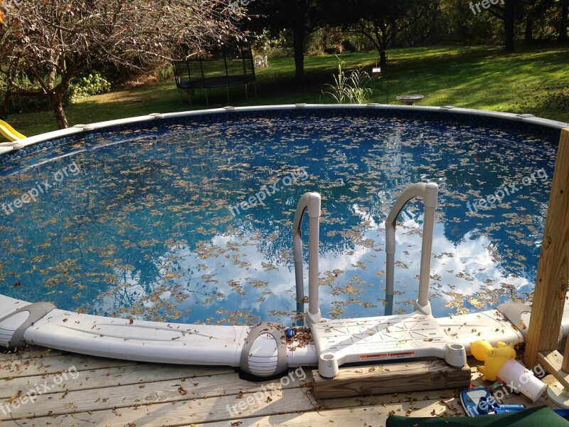 Cleaning Leaves Pool Maintenance Leaf