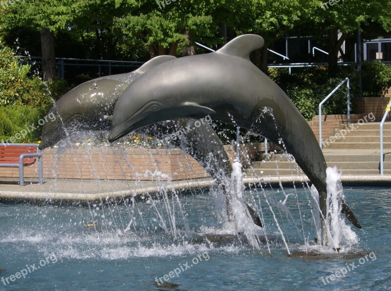 Fountain Dolphin Statue Sculpture Free Photos