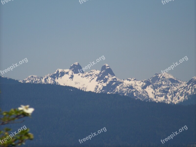 Vancouver Lions Mountain Snow Mountain Free Photos