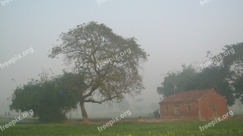 Tree Fog Mist Village Farmhouse